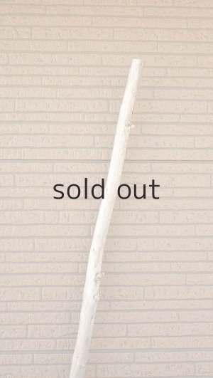 画像4: 棒流木・長尺