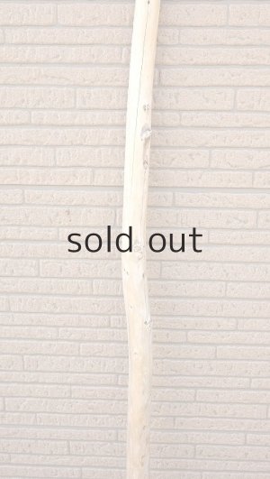 画像3: 棒流木・長尺