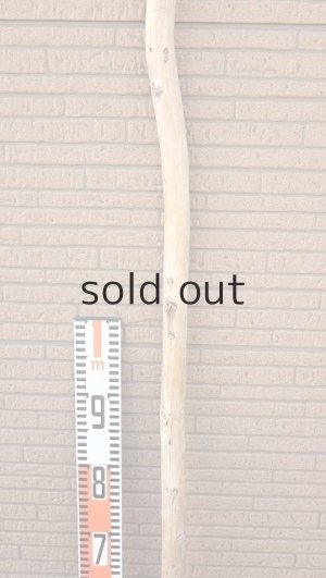 画像7: 棒流木・長尺