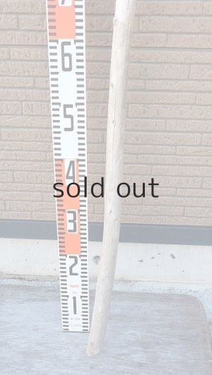 画像5: 棒流木・長尺