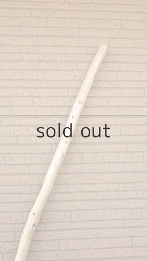 画像5: 棒流木・長尺