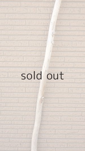 画像3: 棒流木・長尺