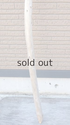 画像2: 棒流木・長尺