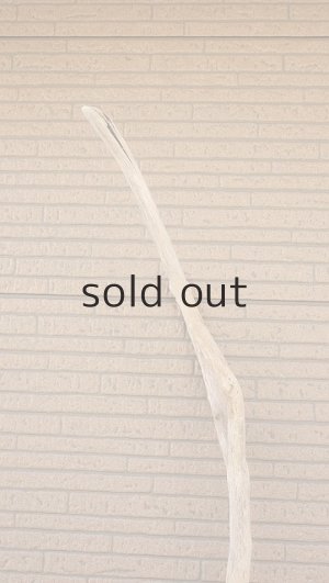 画像5: 幹流木・長尺