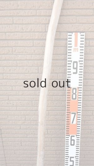 画像7: 棒流木・長尺