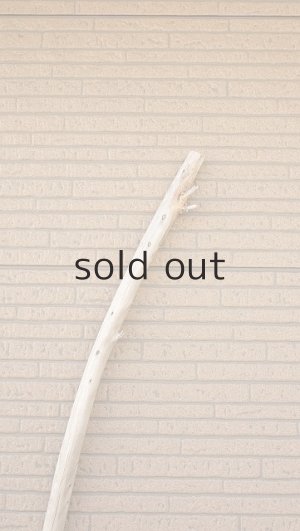 画像5: 棒流木・長尺