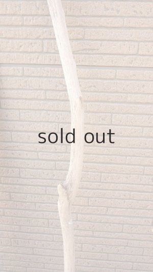 画像7: 幹流木・長尺