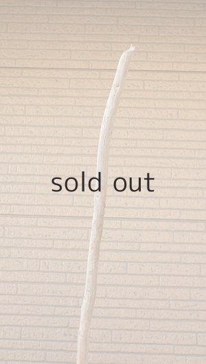 画像5: 棒流木・長尺