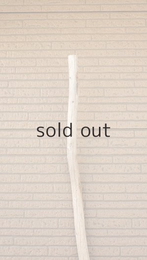 画像5: 棒流木・長尺