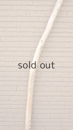 画像4: 棒流木・長尺