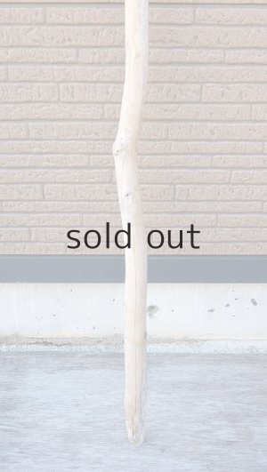 画像2: 棒流木・長尺