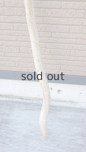 画像2: 棒流木・長尺