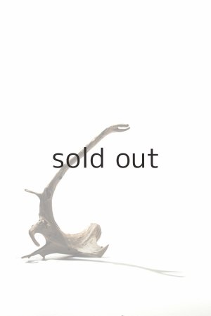 2017-18 -promise- photo:Yukisuke Fushimi