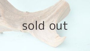 画像4: 流木根（中型）