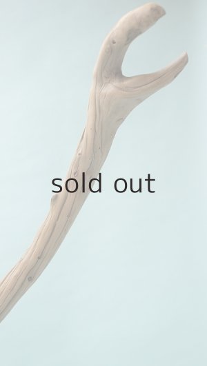 画像7: 流木根（中型）