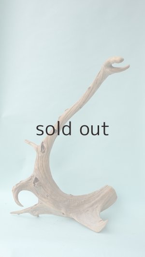 画像3: 流木根（中型）