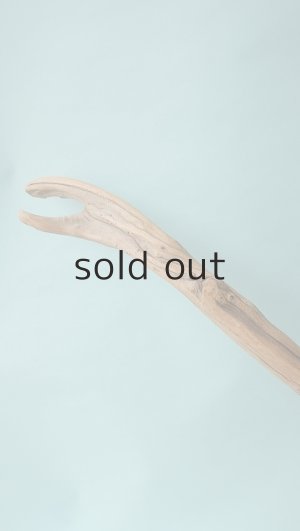 画像13: 流木根（中型）