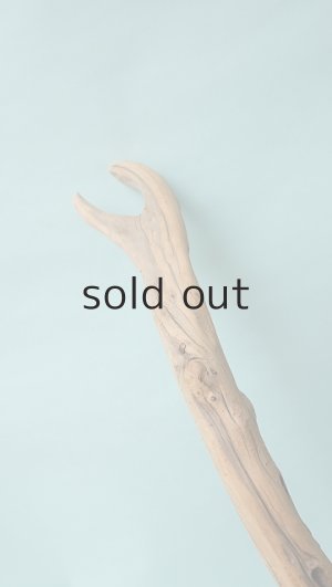 画像15: 流木根（中型）