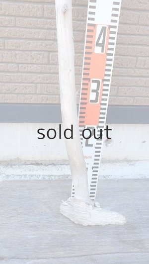 画像6: 棒流木・長尺