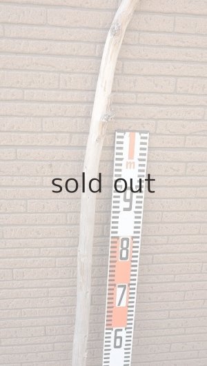 画像7: 棒流木・長尺