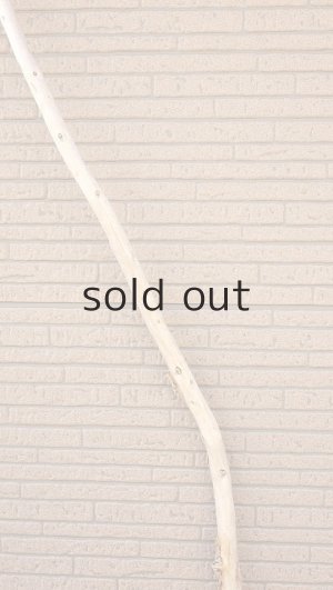 画像4: 棒流木・長尺