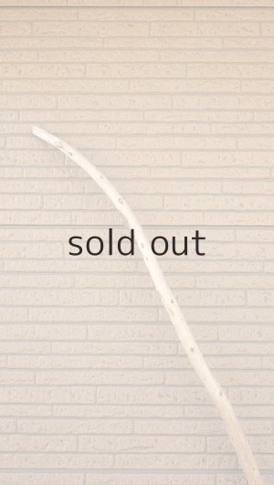 画像5: 棒流木・長尺