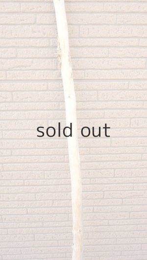 画像3: 棒流木・長尺