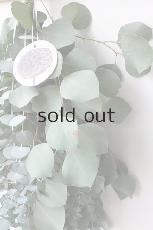 画像4: Dry plants for decor ユーカリ2種シンプルスワッグ