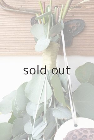 画像2: Dry plants for decor ユーカリ2種シンプルスワッグ