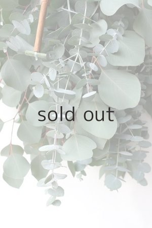 画像5: Dry plants for decor ユーカリ2種シンプルスワッグ