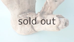 画像3: 変形流木