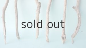 画像2: 小枝流木セット