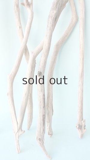 画像5: 小枝流木セット