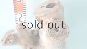 画像6: 変形流木