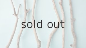 画像3: 小枝流木セット