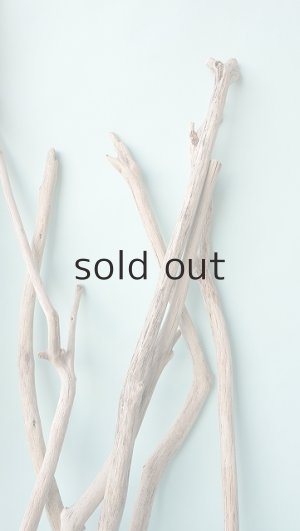 画像6: 小枝流木セット