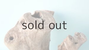 画像4: 変形流木