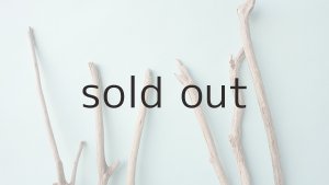 画像4: 小枝流木セット