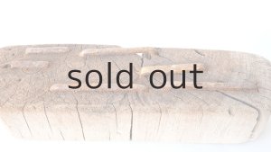 画像5: 変形流木