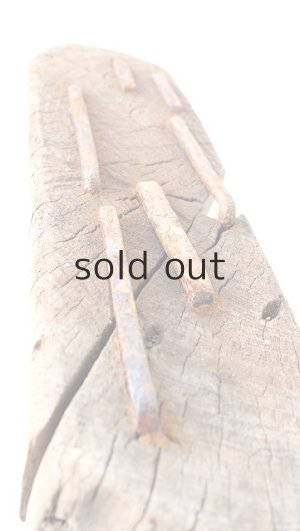 画像6: 変形流木