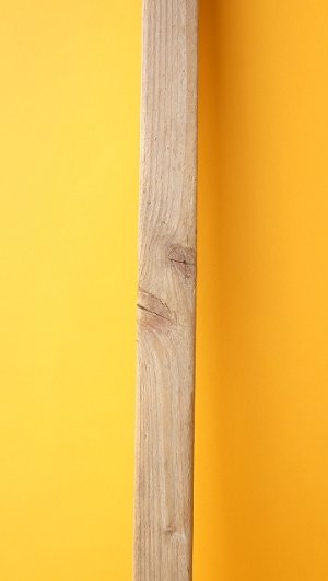 画像3: 板流木（角材）
