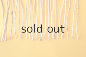 画像5: 棒流木・極細セット