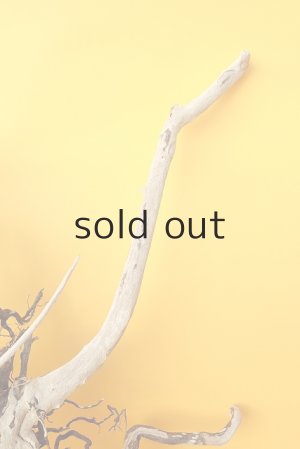 画像5: 流木根（中型）