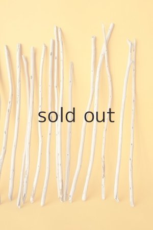 画像4: 棒流木・極細セット