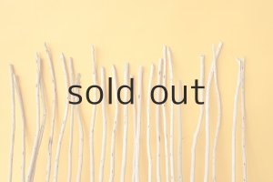 画像6: 棒流木・極細セット