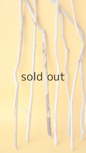 画像5: 小枝流木セット