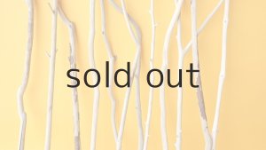 画像3: 小枝流木セット