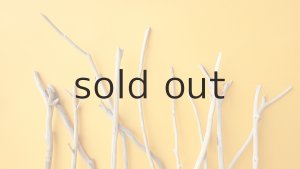 画像4: 小枝流木セット