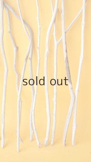 画像6: 小枝流木セット