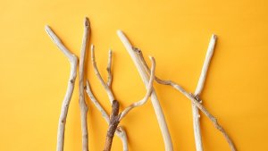 画像4: 小枝流木セット